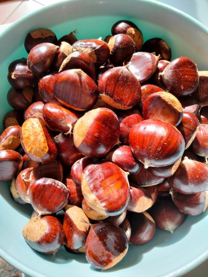 Appartamento Azzurro Cannobio Dış mekan fotoğraf